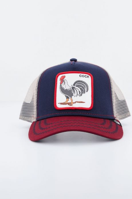 ALL AMERICAN ROOSTER